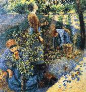 Camille Pissarro Apple picking oil painting picture wholesale